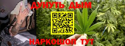 молекула духа Будённовск