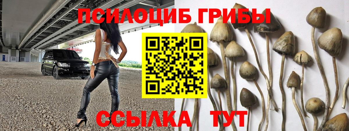 Галлюциногенные грибы ЛСД Обь