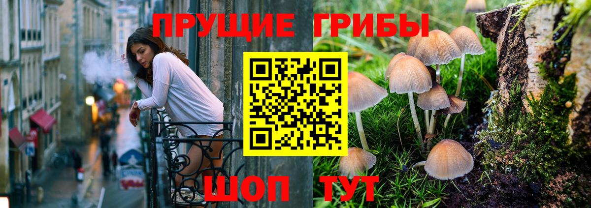 Псилоцибиновые грибы GOLDEN TEACHER  Галлюциногенные грибы Psilocybe  Вход с VPN  где продают наркотики  Обь 